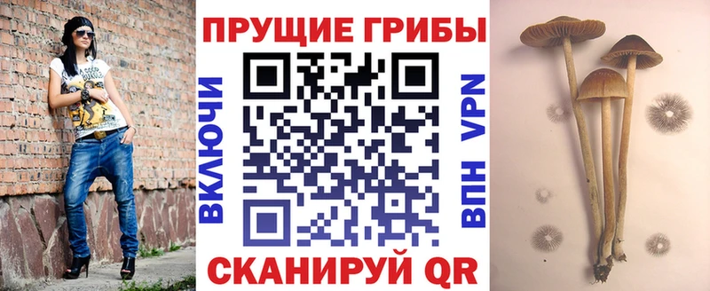 Галлюциногенные грибы ЛСД Аксай