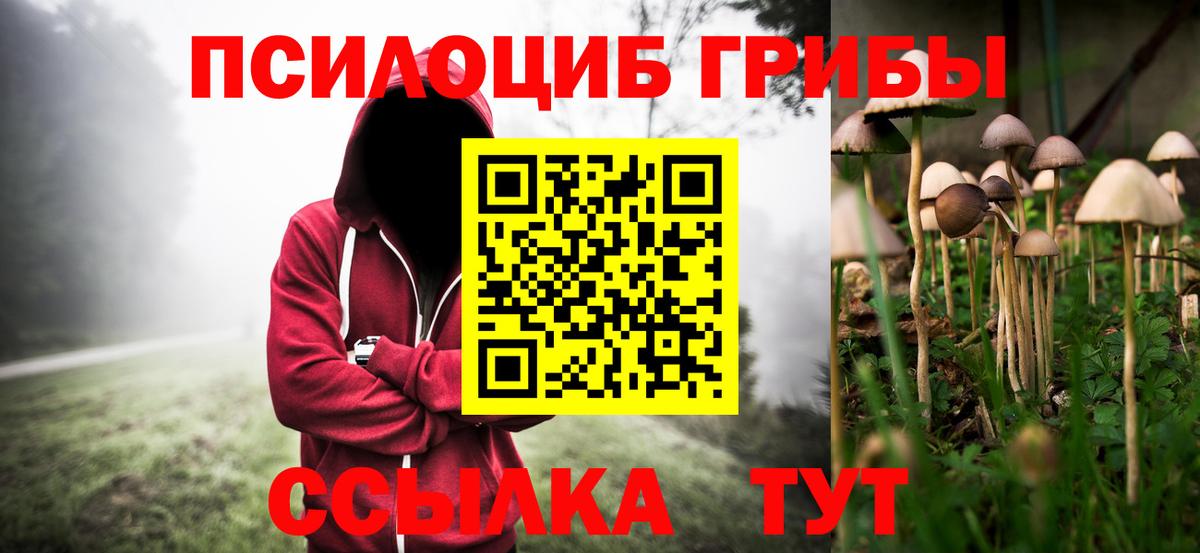 Псилоцибиновые грибы Cubensis Аксай