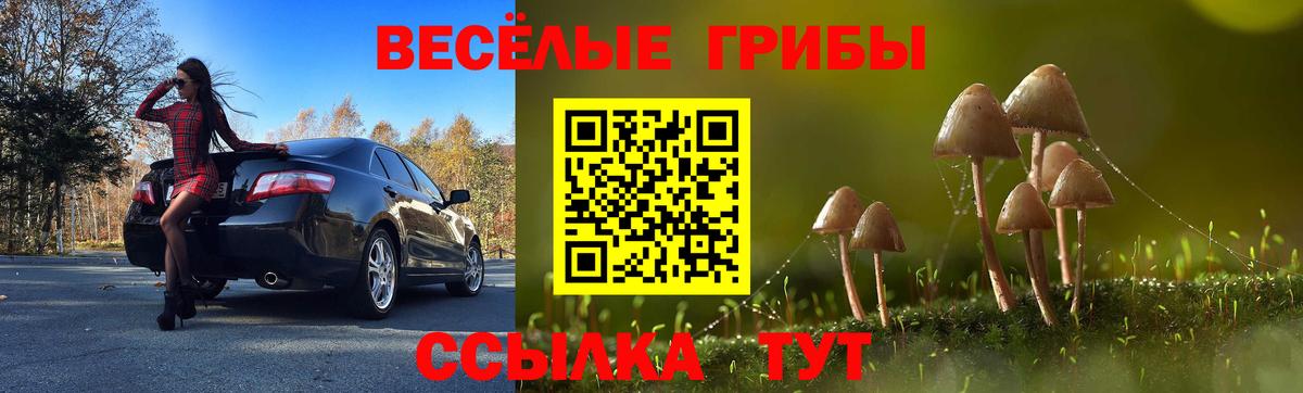 Аксай  Псилоцибиновые грибы Cubensis  Вход с VPN  Галлюциногенные грибы Cubensis 