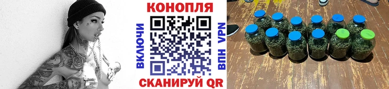 Каннабис сатива  Аксай 