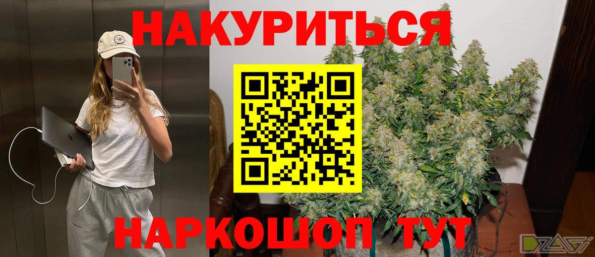 Бошки Шишки планчик Аксай